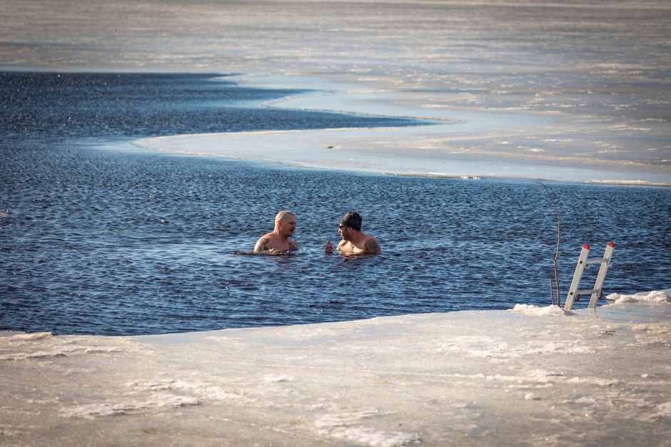 Cold plunge ice bath